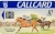 Horse Racing in Ireland Callcard (front)